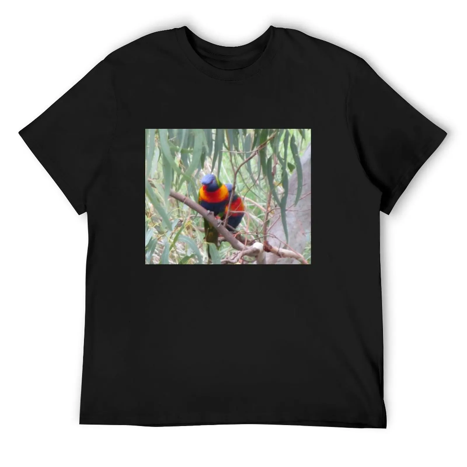 

Rainbow Lorikeets T-Shirt anime tshirt Clothing Anime t-shirt basketball graphic tees mens graphic t-shirts anime