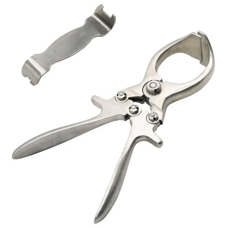 

2 Pcs Livestock Tools Stainless Steel Without Blood Pig Sheep Castration Clamp Castration Tool Castration Forceps Farm Animals