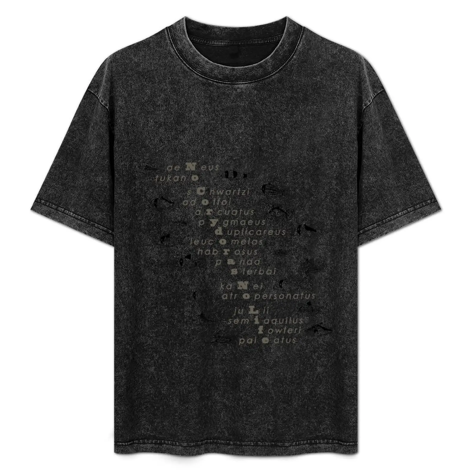 

No Corydoras No Life T-Shirt Casual Trendy Streetwear Tee Shirt