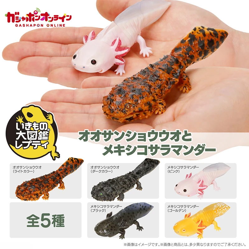 Cynops Orientalis Salamandrid Emulation Creature Model Collection Gashspon Capsule Toy Children Gifts