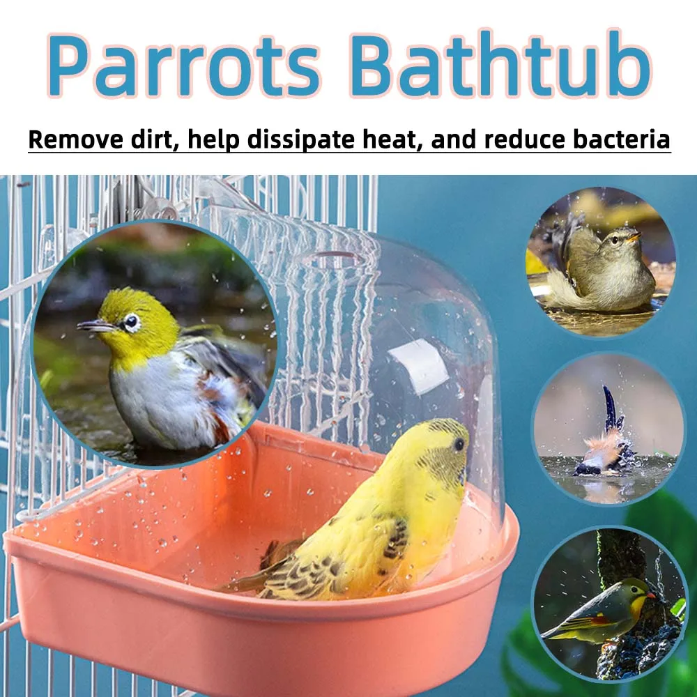 Oiseau de toilettage