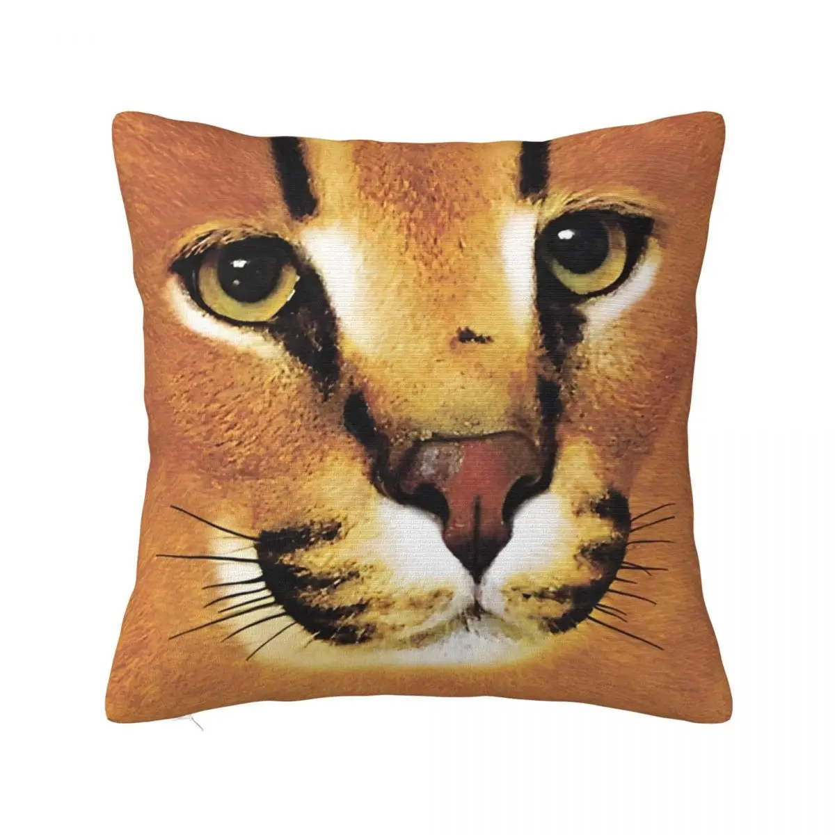 Cute Cat Pillow Cover Square Pillow Case Cushion Cover Cute Funny Graphic Pillowcases For Sofa Car Home Decor