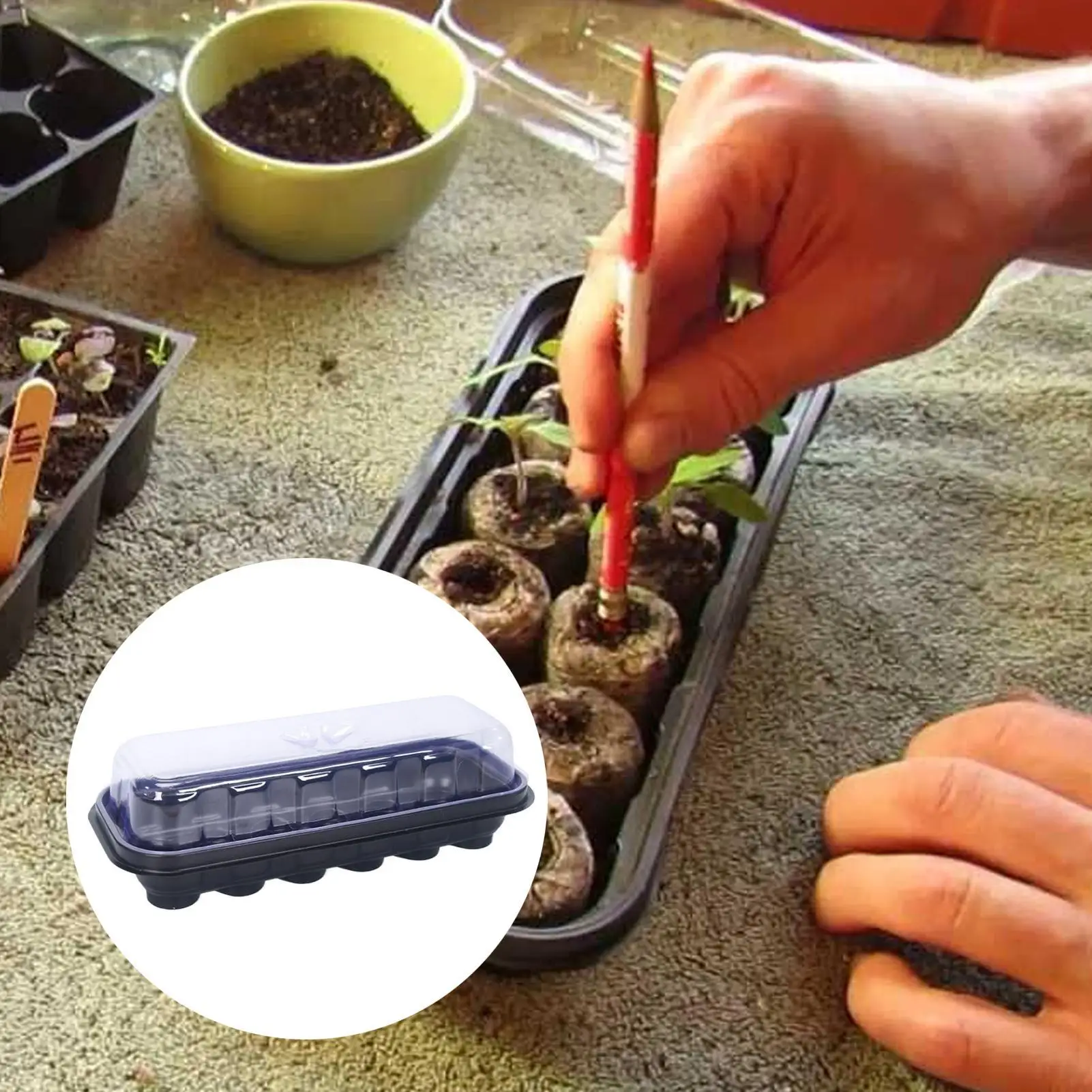 Germination Tray 12-Cell Clear Propagator Reusable 2 in 1 Plant Grow Germination Trays for Cloning Propagation Greenhouse Garden