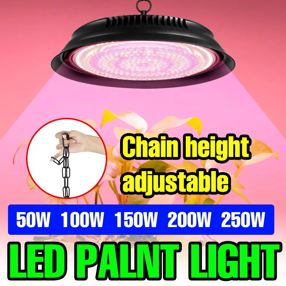 

250 Вт светодиодный светильник для выращивания растений полного спектра, лампа для выращивания тепличных растений, гидропоники для цветов, помидоров, овощей, палатки, заполняющего освещения