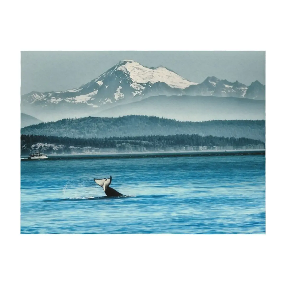 

Orca Whale with Mount Baker Backdrop Throw Blanket Soft Plush Plaid Sleeping Bag blankets ands Summer Blankets