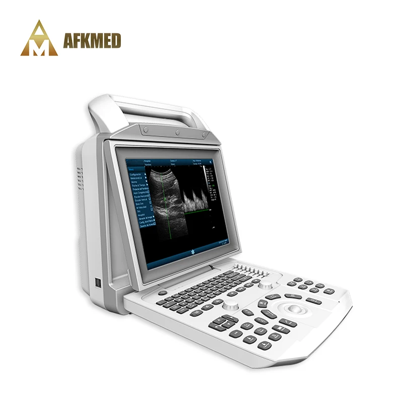 PBWU50 ultrasound therapy ultrasound scan hand-carried portable Black and White ultrasound machine for hospital