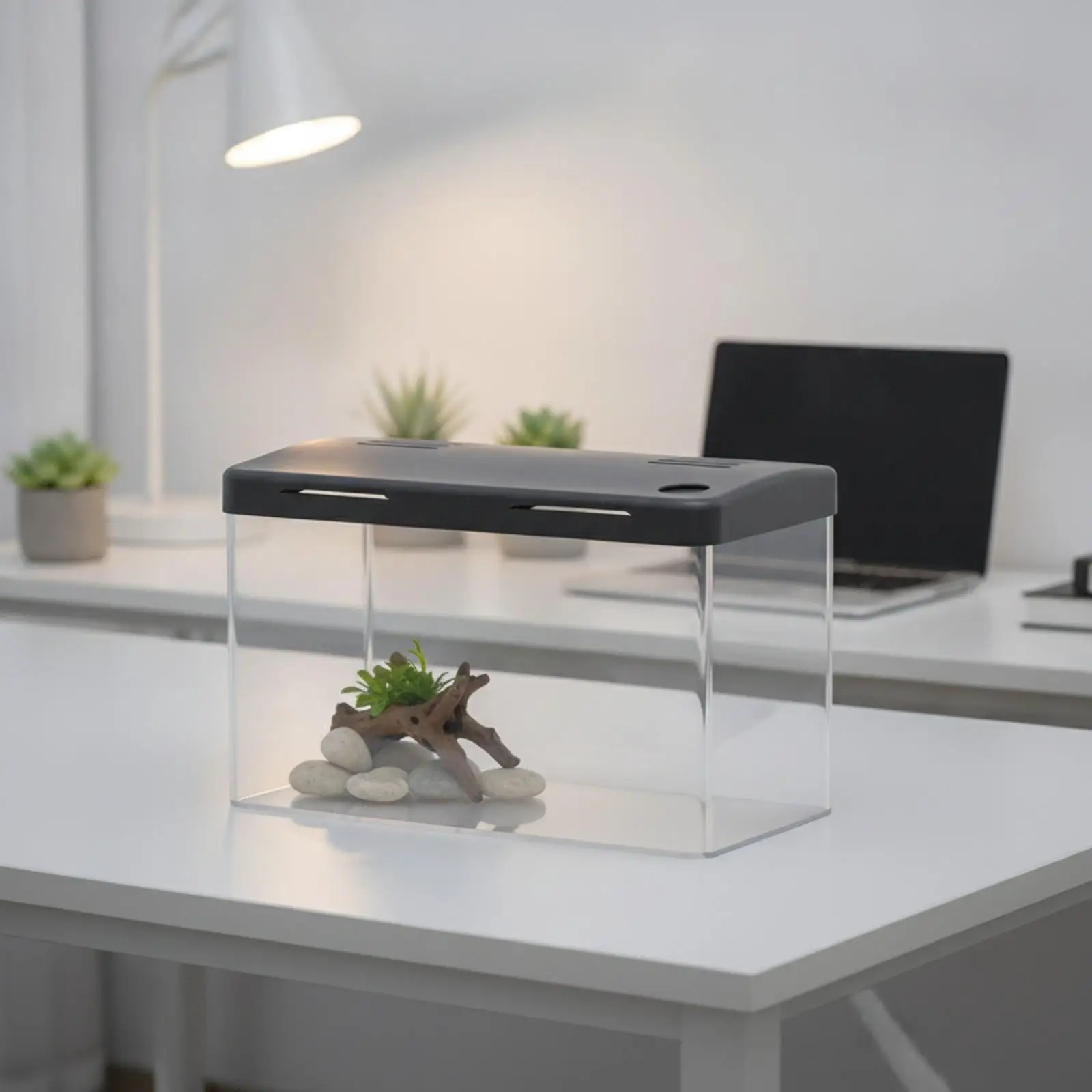 Clear Acrylic Tabletop Aquarium Tank for Fish Shrimp Plants Compact Design Lid