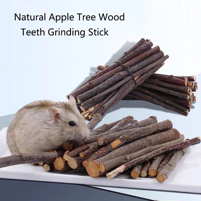 100/200/300/500g Hamster Rabbit Teeth Grinding Apple Tree Stick Minerals Molar Stone Toys for Chinchilla Hamster Pet accessories