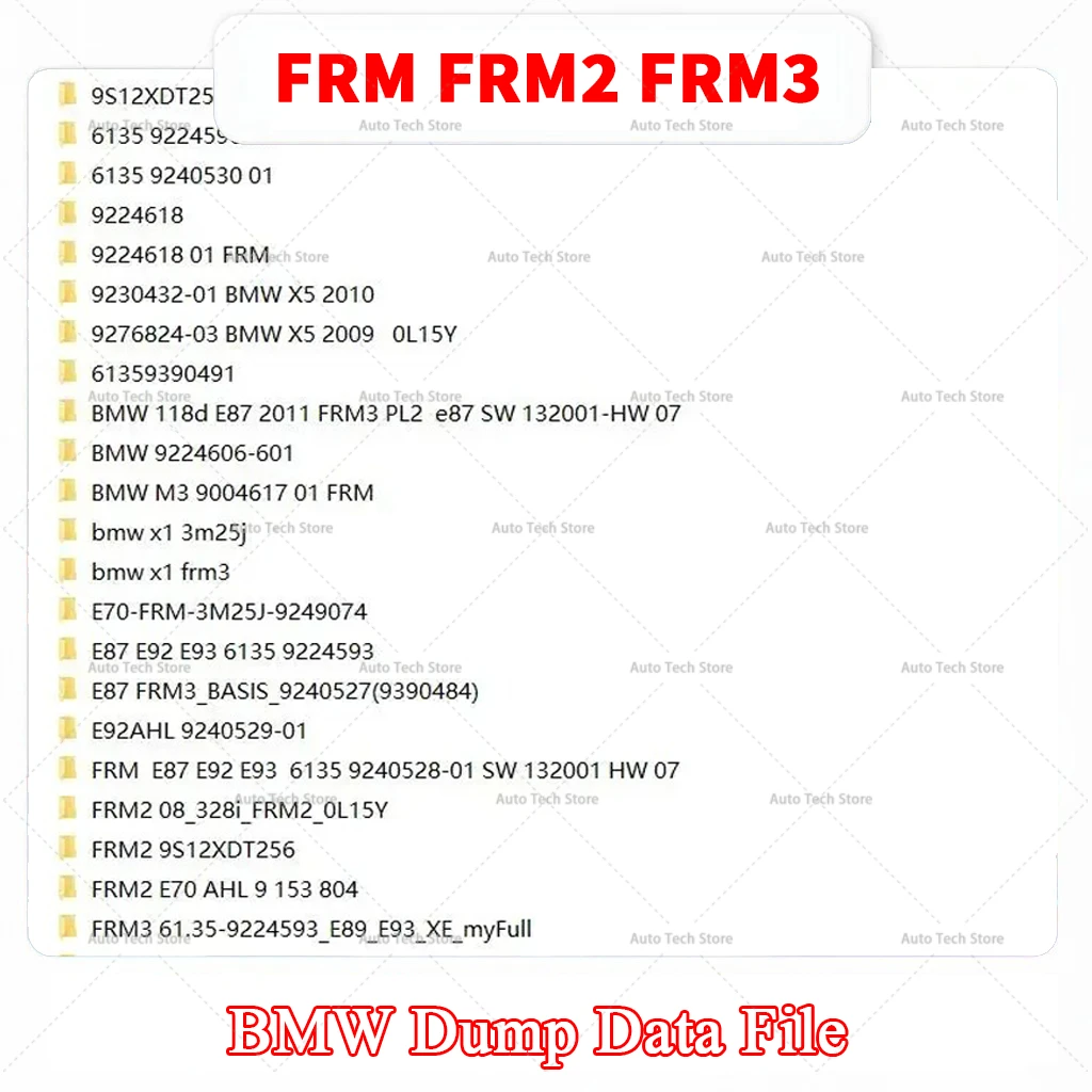 For BMW FRM FRM2 FRM3 Dump Data File