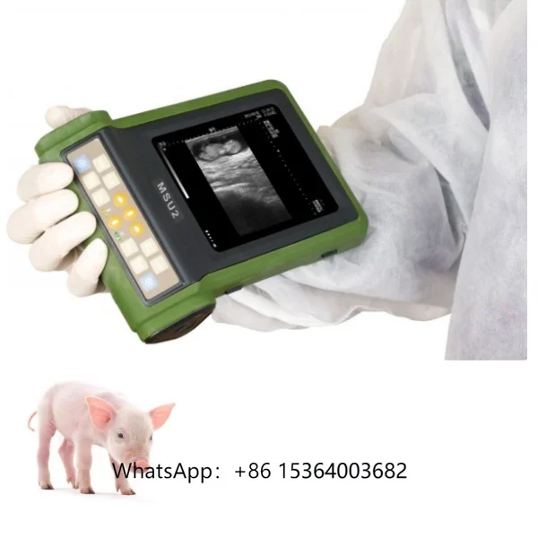 

Portable Veterinary Ultrasound Machine Scanner for Vet Animals MSU2 Equine Ultrasound