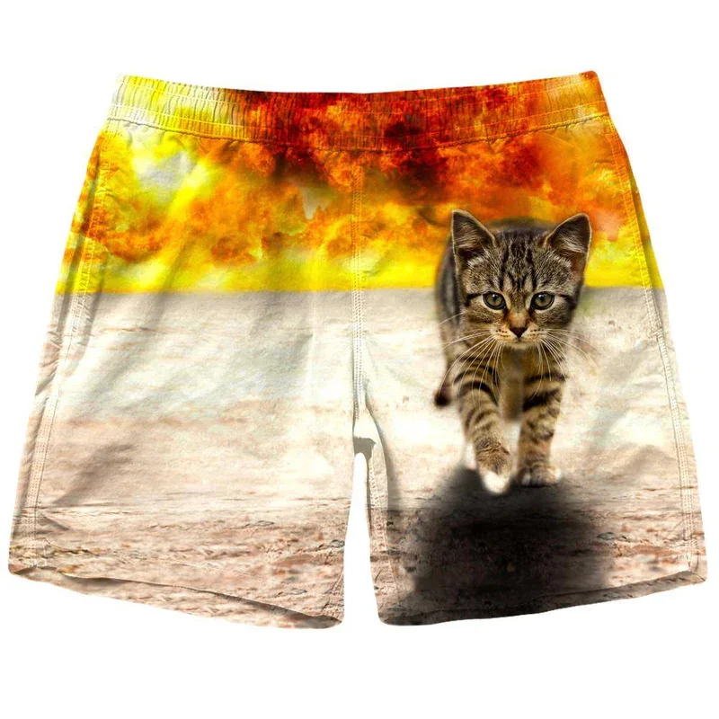 New Men Tiger Cat Beach Shorts 3D Printed Starry Sky Short Pants Fashion Street Oversize Breathable Sports Gym Women Shorts