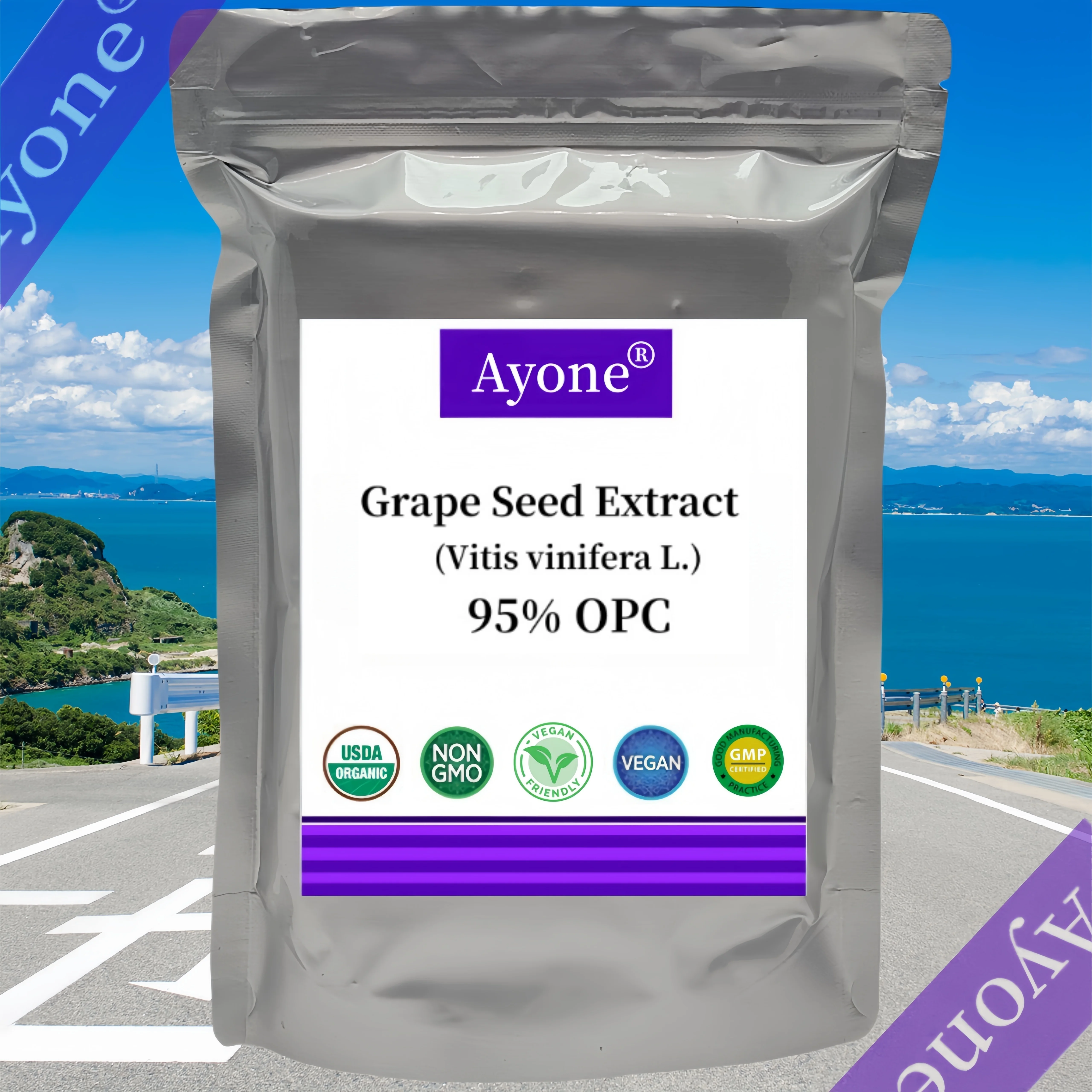 Customized Fast Shipping 95% OPC Grape Extract Out Packing Aluminum Foil Bag