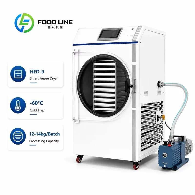 Customize Commercial Lyophilizer Freeze Dryer Machine with Vacuum Pump Home Use 10 Trays 12KG/Batch