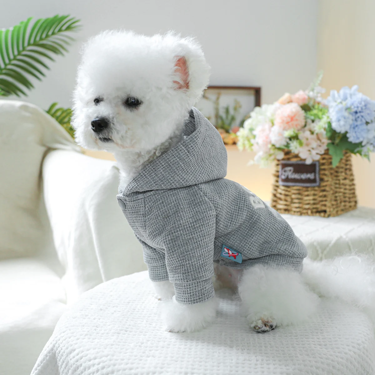 1PC Pet Clothing Spring and Autumn Fleece Grey Boston Hat Coat Suitable for Small and Medium sized Dogs