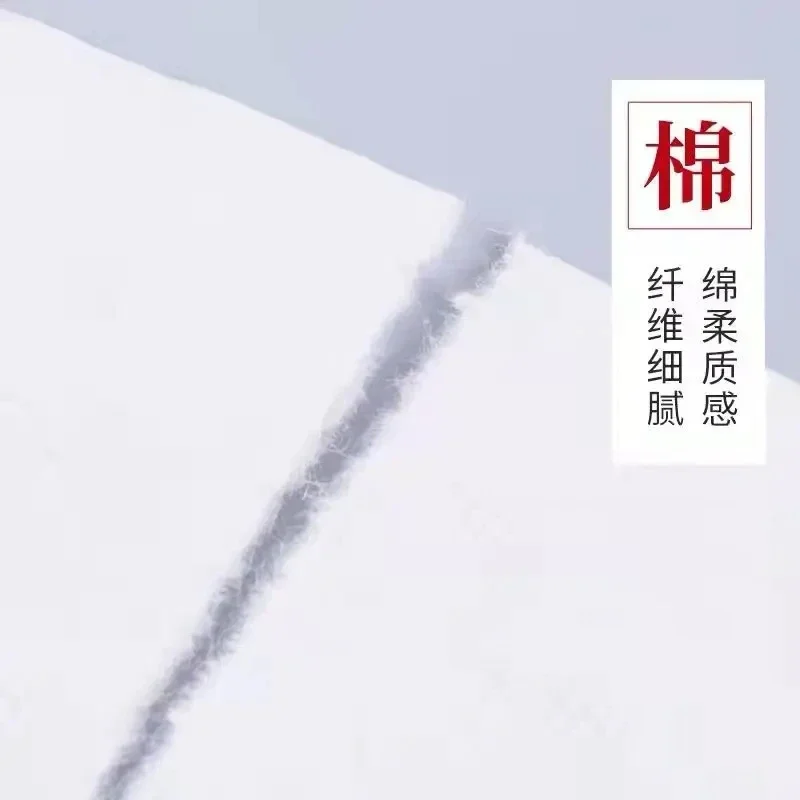 100 Sheets Factory Price Clearance Raw Rice Paper Thickened Calligraphy Special Student Xuan Chinese Painting Creation Practice