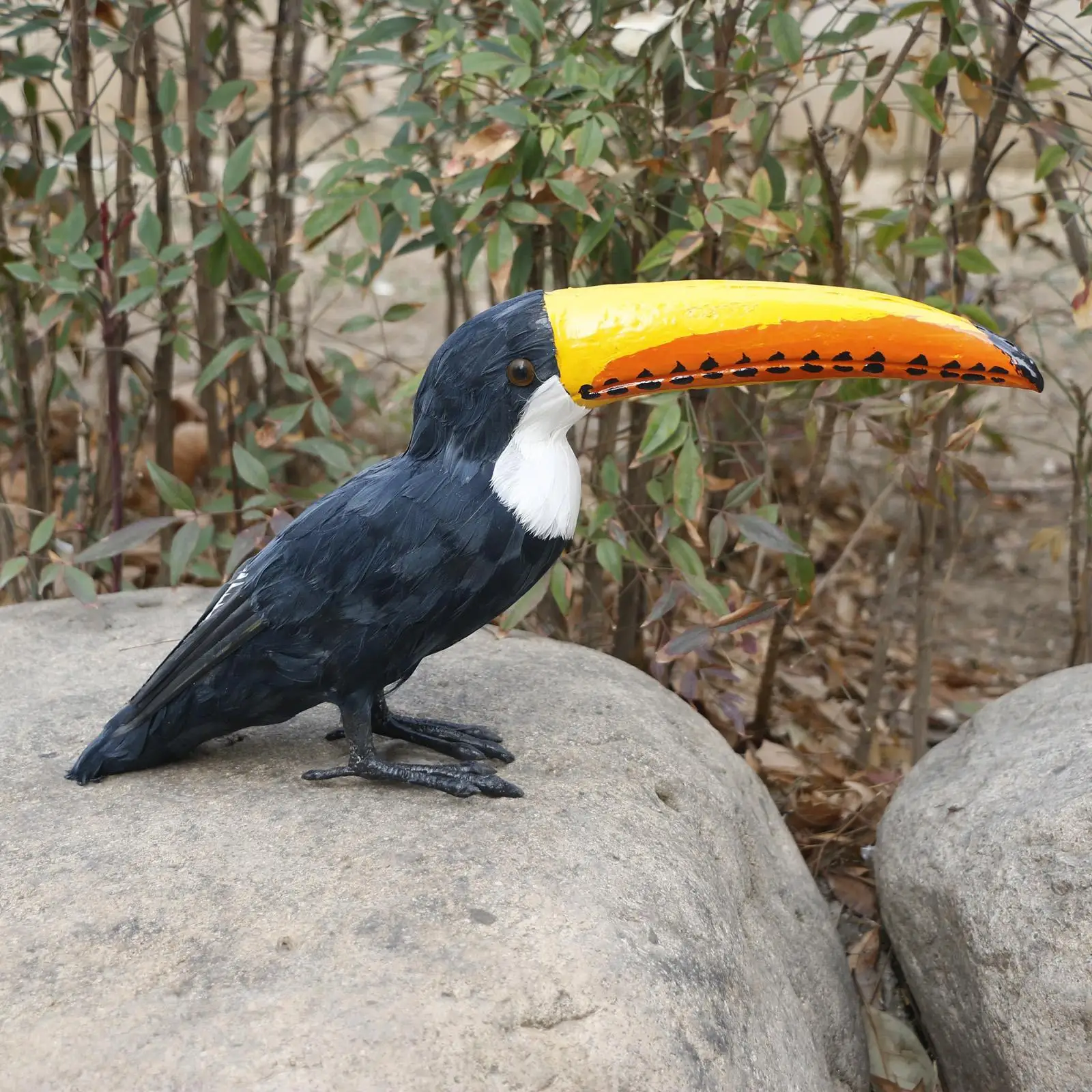 Unique Real Toucan Bird Craft Beautiful Animal Figurines Handcrafted for Jungle Home Collectible Decor