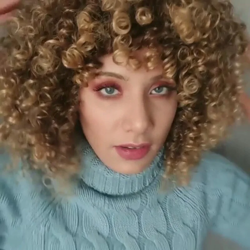 Afro Wigs For Black Women Short Kinky Curly Full Wigs Brown Blonde Synthetic