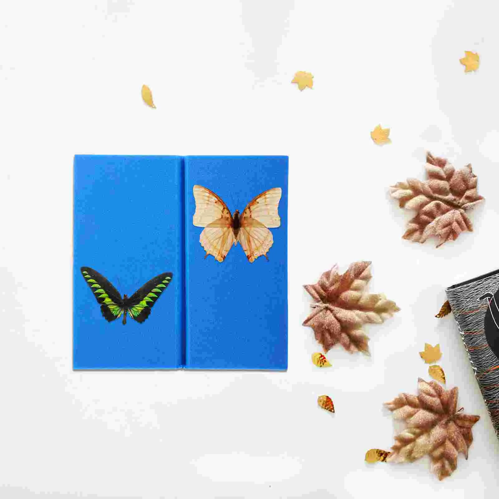 Display Case Posture Table Butterfly Specimen Insect Mounting Spreading Board Professional Pinning Kit Blue Tool