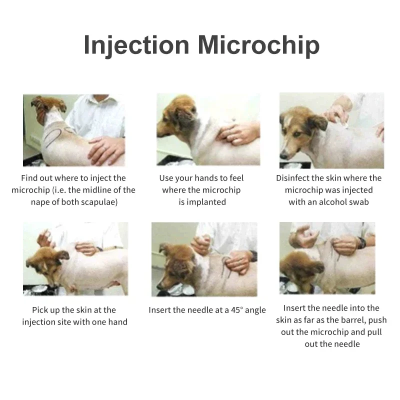 100 Uds 134,2 KHz FDX-B Microchip Universal para mascotas ISO11784/85 Animal 15 dígitos Chip de identificación jeringa de Microchip para mascotas