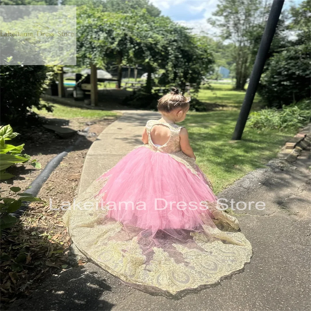 

Pink Flower Girl Dress Gold Appliqués Lace Tailing for Kids Birthday Little Children Photography Prom Party Customization