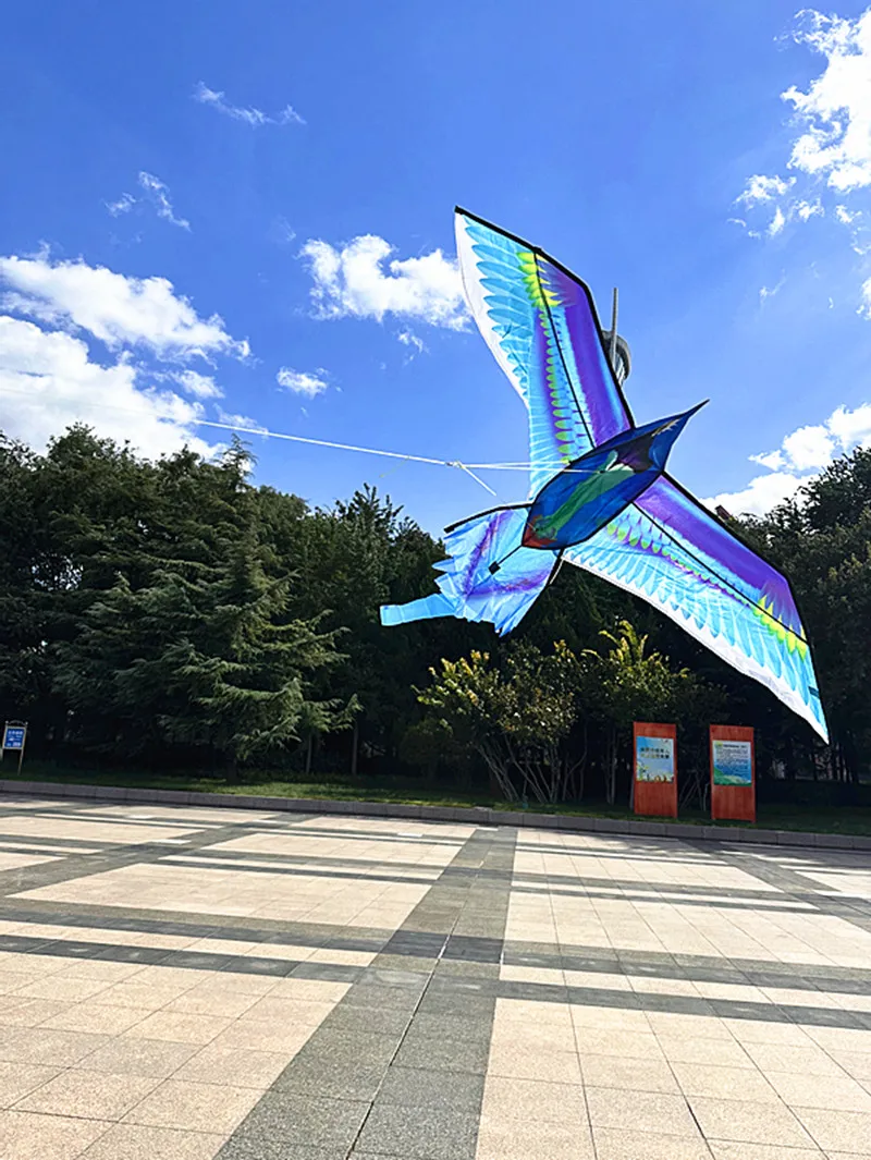 free shipping blue hummingbird kite cerf volant enfants cometas de viento gigante giant kite cerf volant adulte glowing toys fun