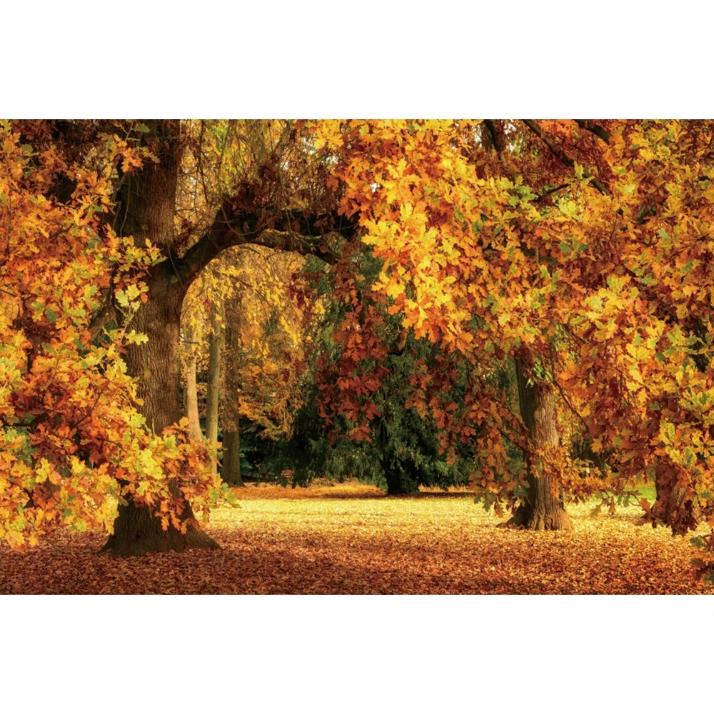 Autumn Forest Backdrop Photography Fall Maple Fallen Leaves Trees Pumpkin Natural Scenery Baby Portrait Photo Background Studio