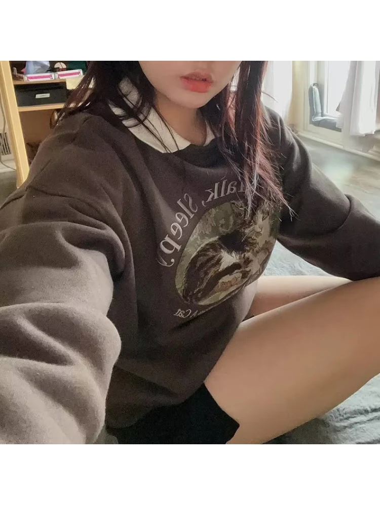 Casual Women Brown Graphic Sweatshirts 2023 Fall Fashion O Neck Long Sleeves Cat Embroidery Tops Female Loose Pullovers