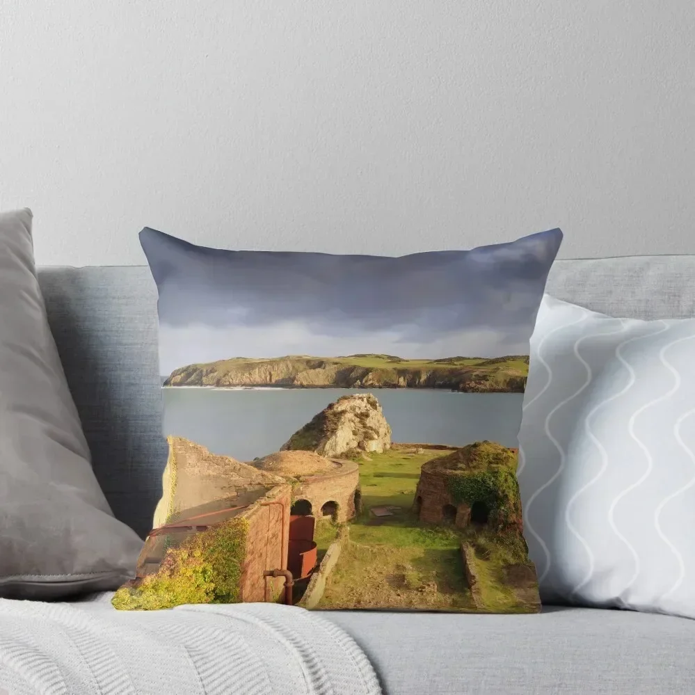 

Porth Wen Brickworks Throw Pillow Anime sleeping pillows Custom Cushion Photo pillow
