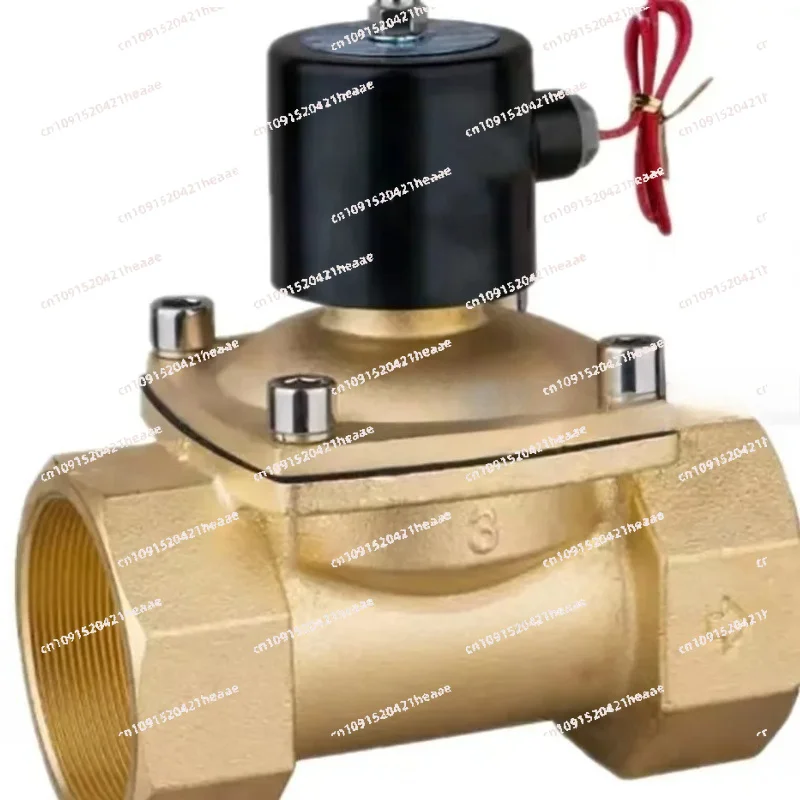 Suitable for 2 way Brass water valve 3 inch solenoid valve 220V AC Normally close Wire lead type large solenoid valves 2W800-80