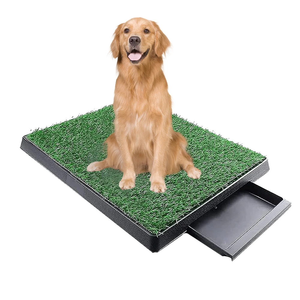 Tapis de dressage pour chien d'extérieur, pour l'apprentissage de la propreté des chiots, avec plateau intégré, pour la maison