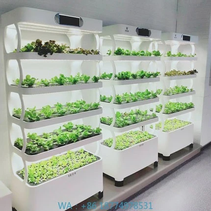 

Hydroponic Grow Bed Smart Hydroponic System2022 Searea Indoor Smart Garden