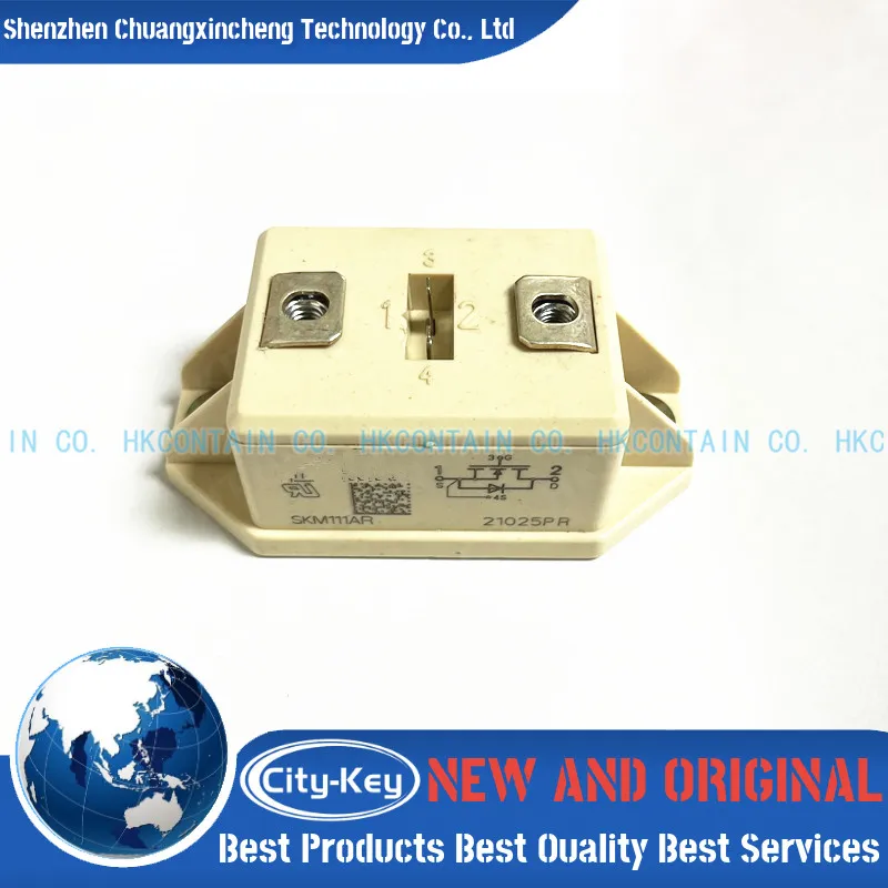 

New and Original SKM121AR SKM151A4R SKM151F SKM214A SKM224A SKM254F SKM284F SKM294F SKM313B010 IGBT MODULE