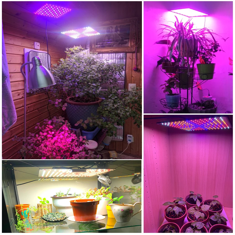 2500W LED Grow Light Full Spectrum Phyto Lamp AC85-240V EU US Plug For Greenhouses Indoor Led Plant Lamp For Hydroponic