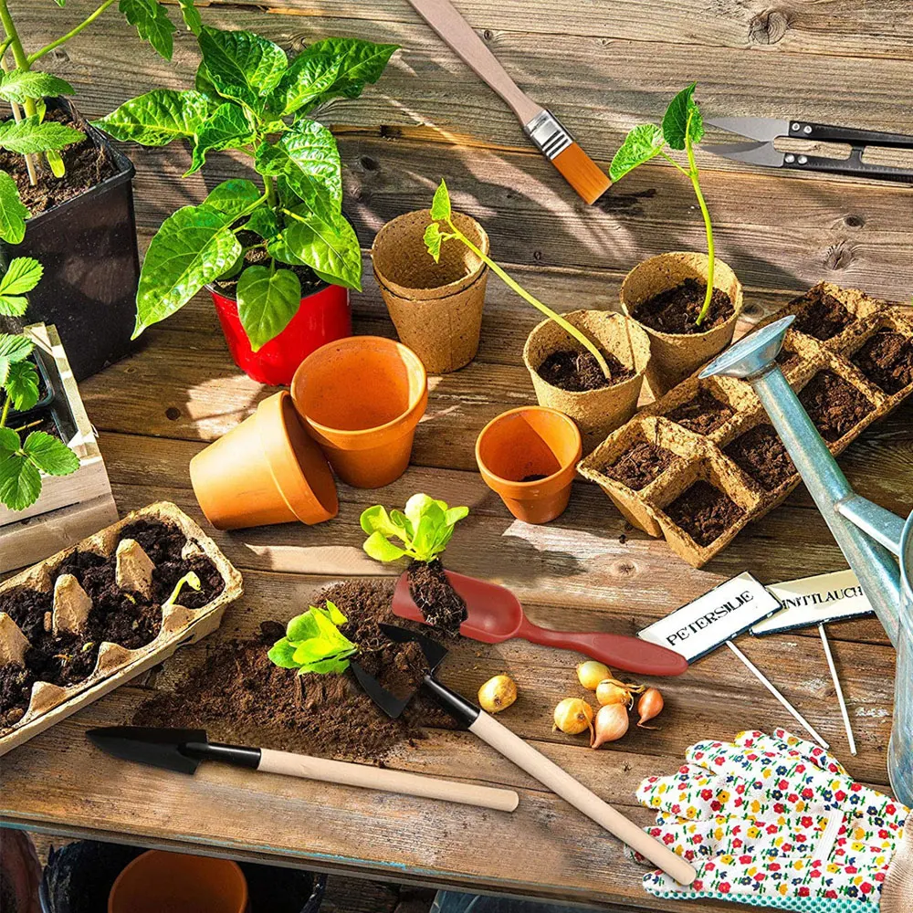 أدوات النباتات النضرة أدوات يدوية للحديقة الصغيرة زرع في الهواء الطلق مجموعة أدوات البستنة بونساي زراعة مصغرة عصارية #4