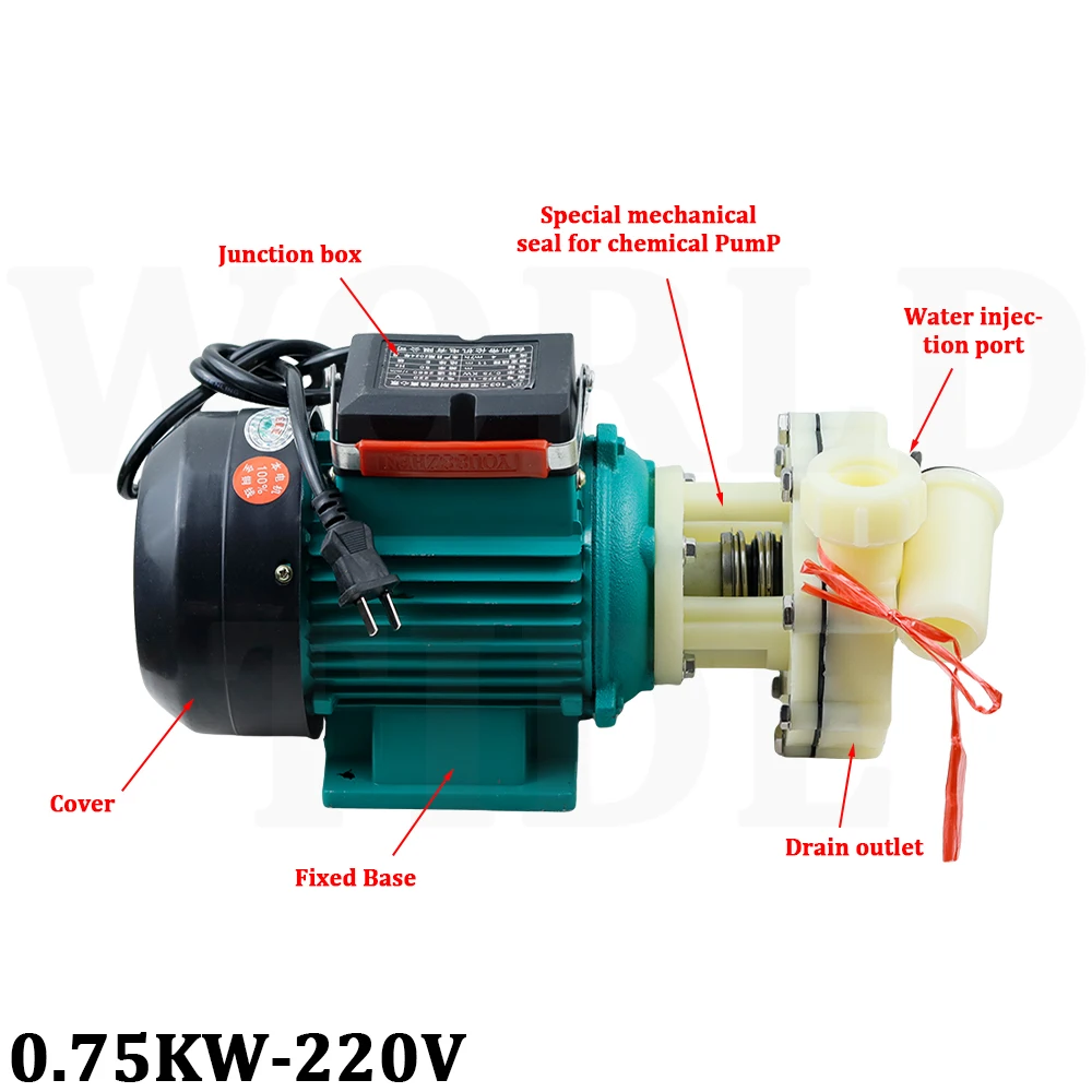 Pompa chimica resistente agli acidi e agli alcali Pompa acqua autoadescante da 750 W Resistente alla corrosione a basso rumore 2900 giri/min 220 V/380 V Opzionale
