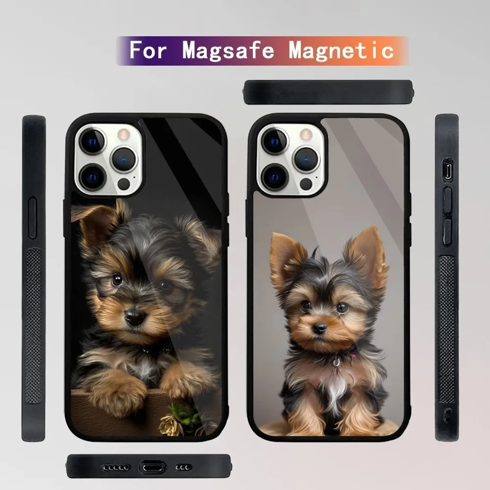 Yorkshire terrier dog Phone Case For iPhone 15,14,13,12,11,Plus,Pro,Max Mini Magsafe Magnetic Wireless Charging