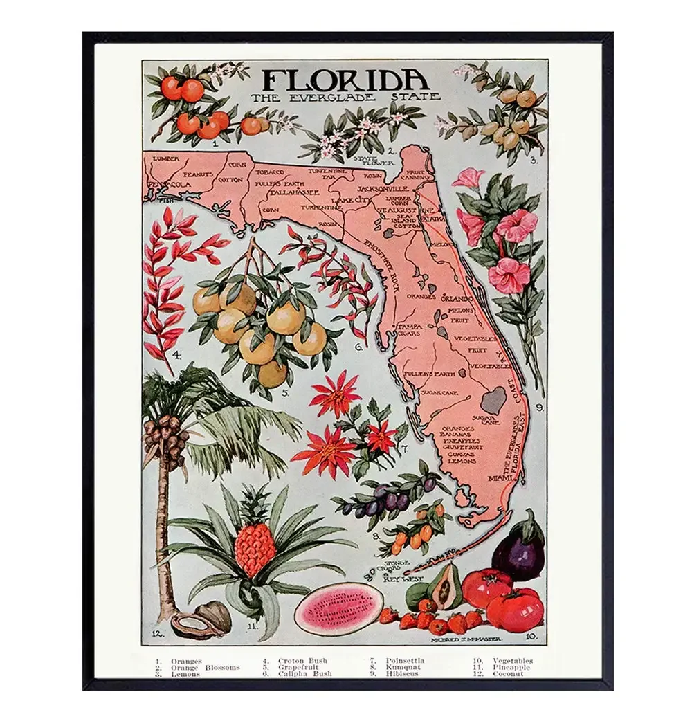 Florida Vintage Map - Unframed Wall Art Print - Waterproof Table Cloth