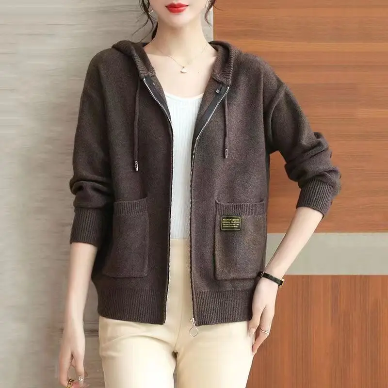 Hooded Knitted Cardigan Sweater Jacket Women\'s Spring Outfit New Fashion Outfit with Casual Mom Jacket Women\'s Hat Sweater