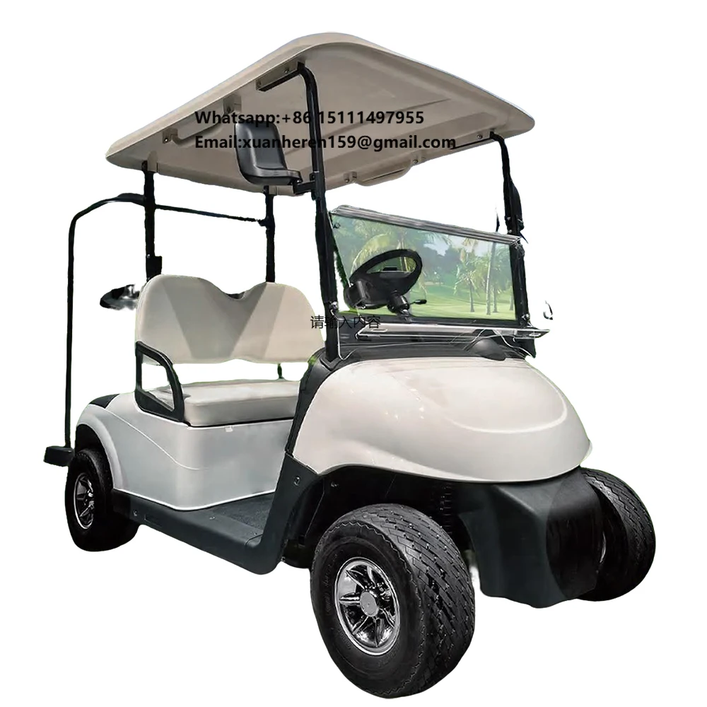 New Model MINI Electric Golf Cart Comfortable Folding Club Sightseeing Car 2 Seats Hunting Buggy Road Golf 30-50Km/h 70-90km