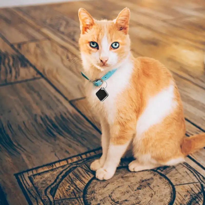 Tracking Tag For Dogs Anti-Lost IPX65 Waterproof GPS Tracking Device With 60db Alarm Battery Powered Dust Proof Cat Locator