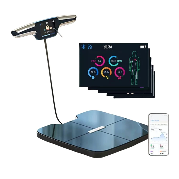 

Veidt Weighing New Product Fitness Gym Mass Body Index and Human Weight Water Calorie Body Scale