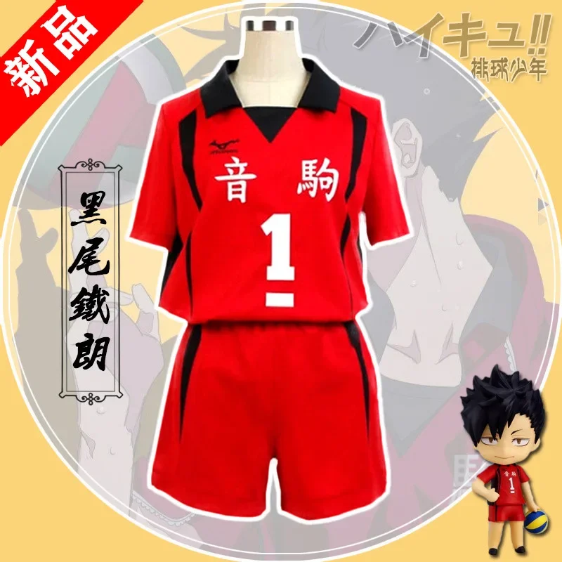 

Anime Haikyuu Volleyball Juvenile Character Cosplay Costume Hinata Shoyo T-shirt Set Adult Sportswear Tops Jerseys Gifts
