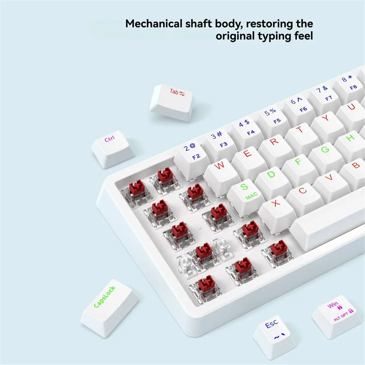 doyme 68 Key Mechanical Keyboard USB Wired RGB Backlight LED Red Switch Keyboard for Game PC Laptop Office
