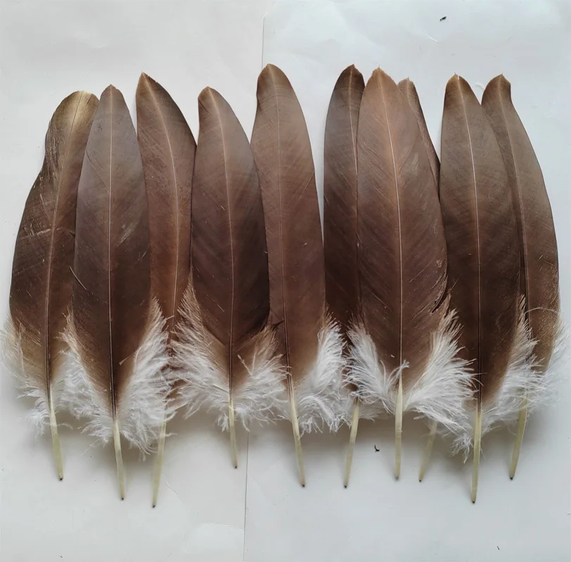 10Pcs/Lot! 30-35cm Long Beautiful Natural Eagle Plumage Feathers Hawk Feathers for Celebration Clothing Decoration