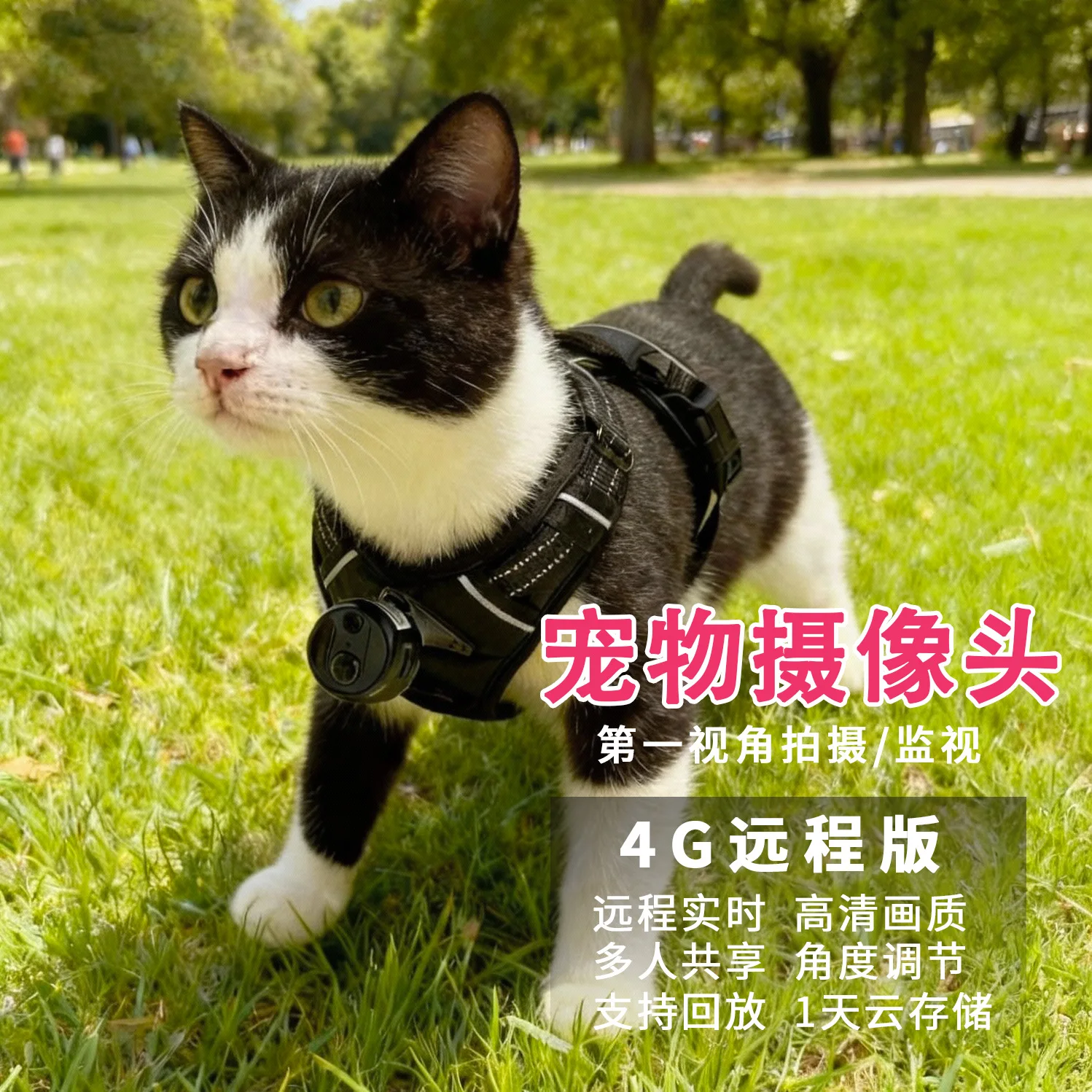 4G remote real-time cat, dog and pet first view camera neck recorder monitoring live broadcast smart strap