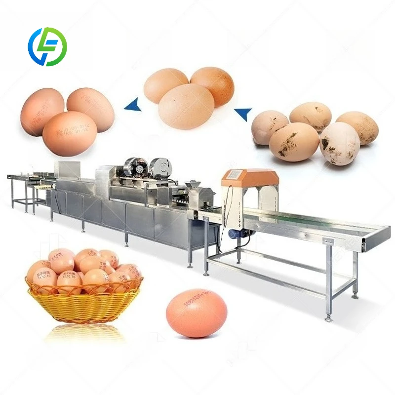 FL Customized Water‑saving Egg Washing Line Electric Egg Washing Machine Chicken Egg Stain Removing Equipment for Poultry Plant