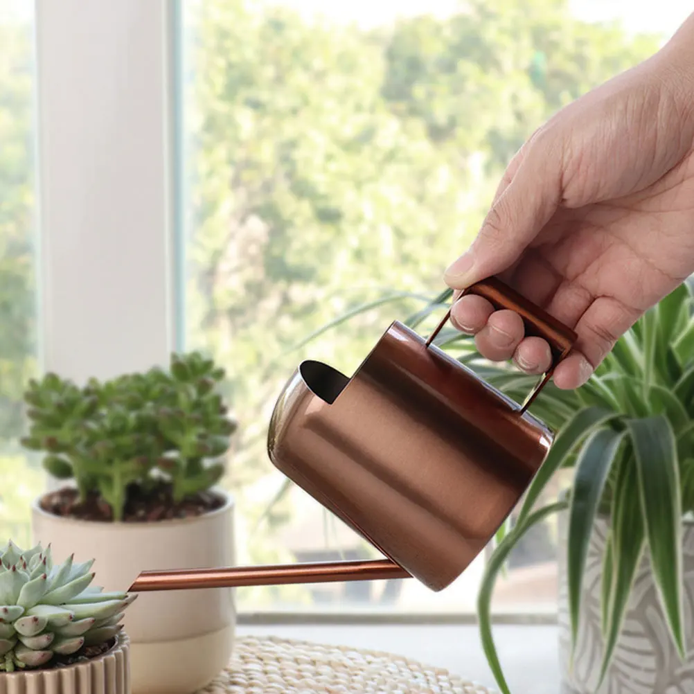 

Indoor Watering Can Metal Long Spout Large Capacity Ergonomic Handle Plant Watering Pot for Indoor Plants Water Plants Pitcher