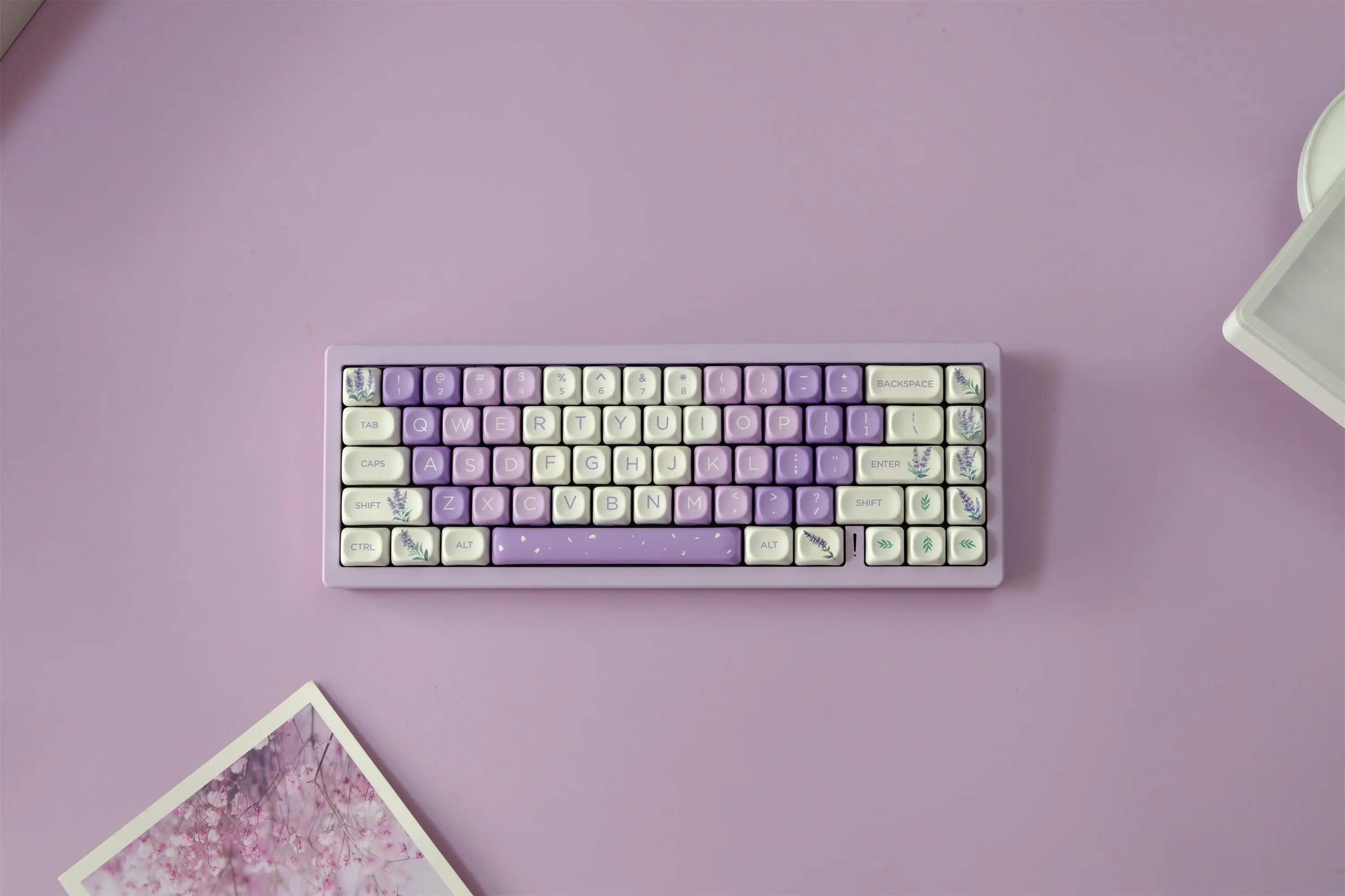 

Lavender Keycaps 126 Keys PBT Keycap MOA XOA Profile DYE-SUB For MX Switch Wooting Mechanical Keyboard Keycap ISO ANSI Layout