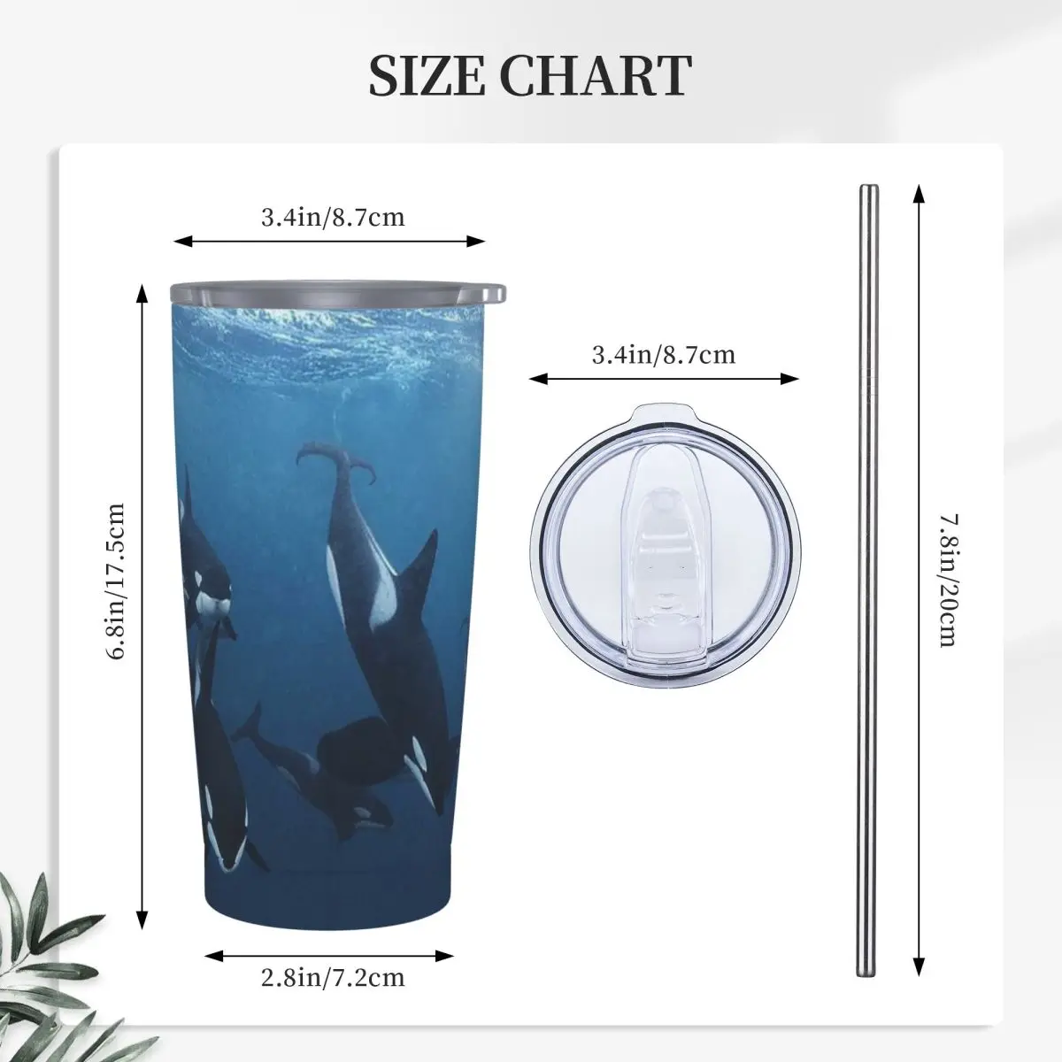 Bule Orca Whale Family Swimming In Sea Stainless Steel Tumbler Vacuum Insulated Mug Thermal Cold Cups Straw With Lid 20oz