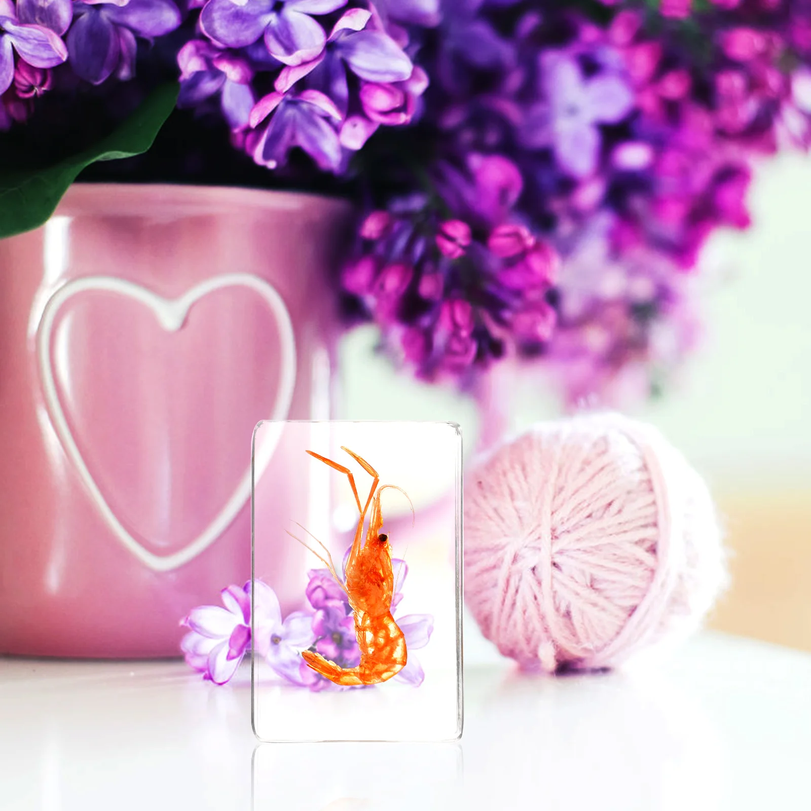 

Resin Shrimp Specimen Craft Lightweight Portable Stylish Teaching Tools Decoration